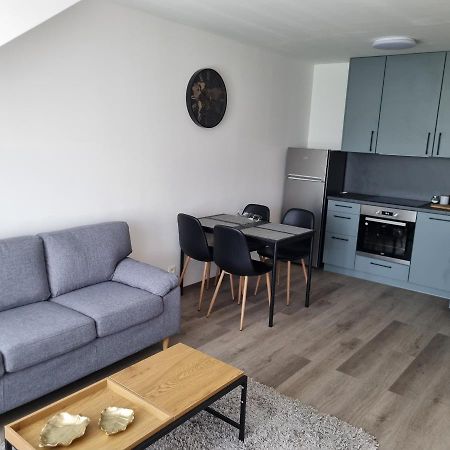 Cerna Ruze- Apartman 5 Plzeň Eksteriør bilde