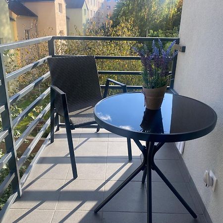 Cerna Ruze- Apartman 5 Plzeň Eksteriør bilde