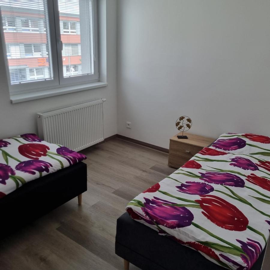 Cerna Ruze- Apartman 5 Plzeň Eksteriør bilde