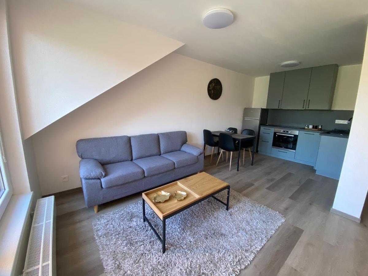 Cerna Ruze- Apartman 5 Plzeň Eksteriør bilde