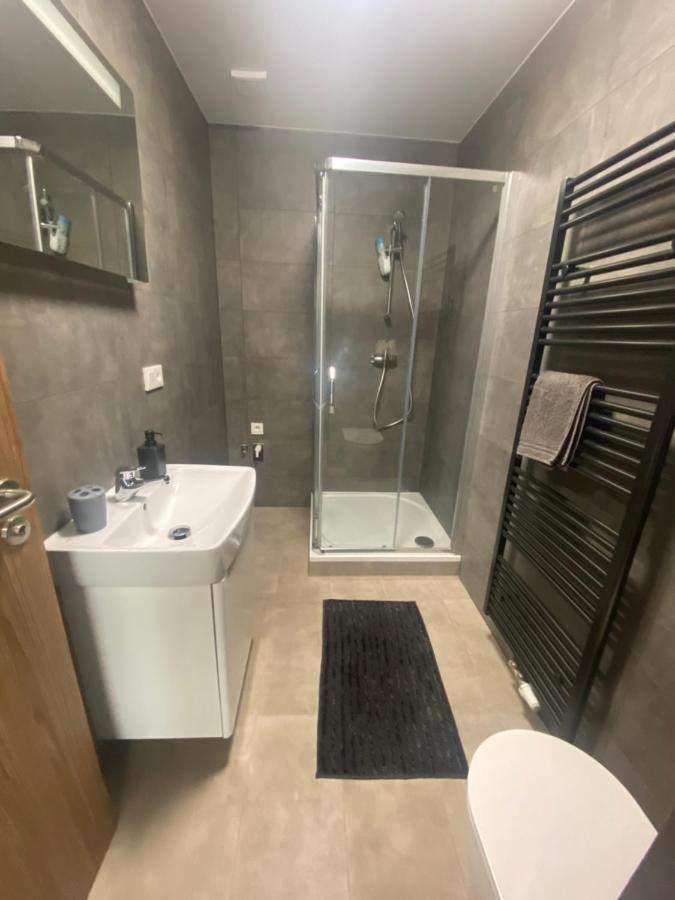 Cerna Ruze- Apartman 5 Plzeň Eksteriør bilde