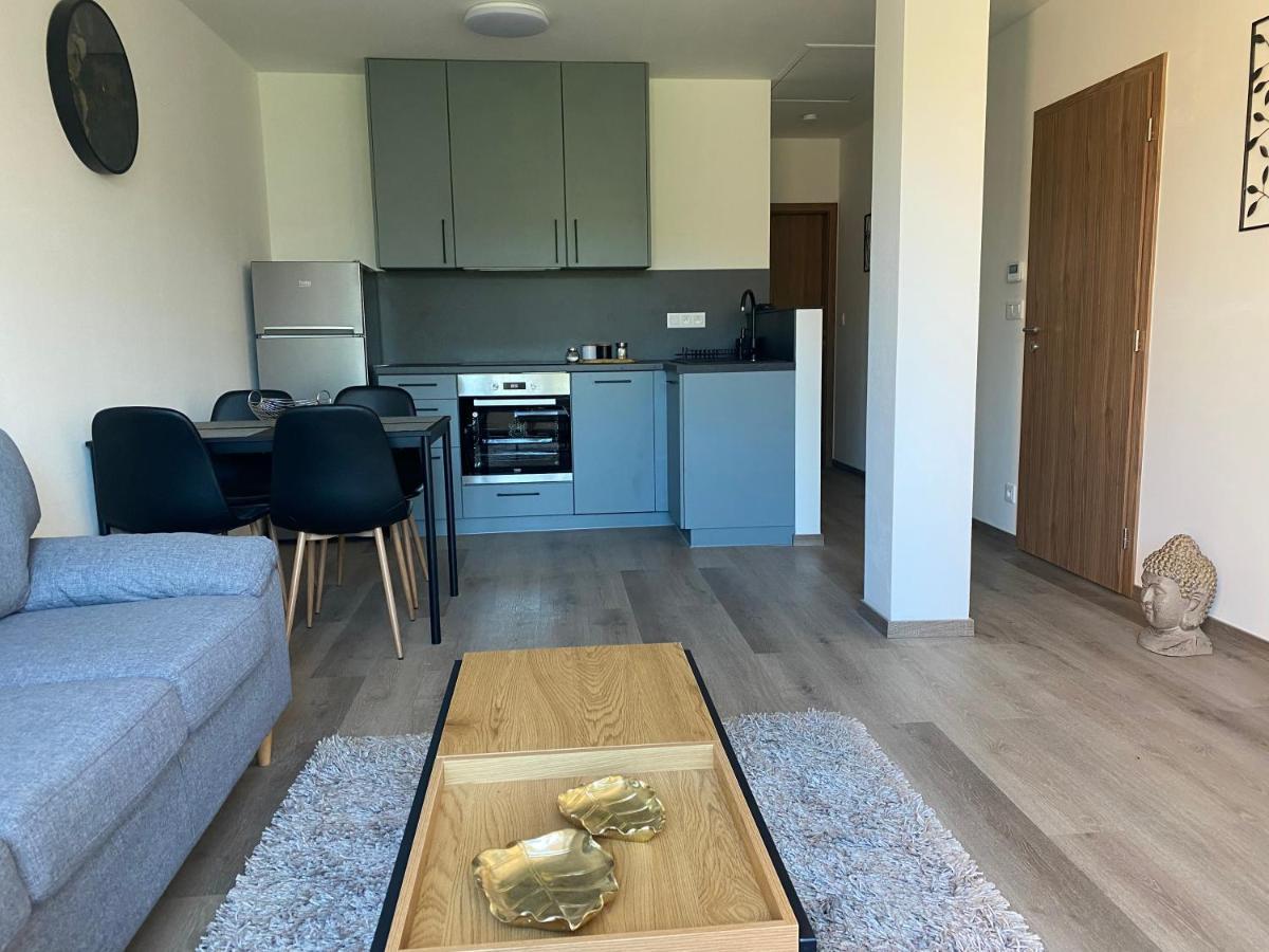 Cerna Ruze- Apartman 5 Plzeň Eksteriør bilde