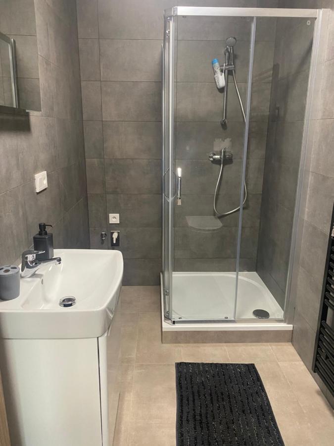 Cerna Ruze- Apartman 5 Plzeň Eksteriør bilde