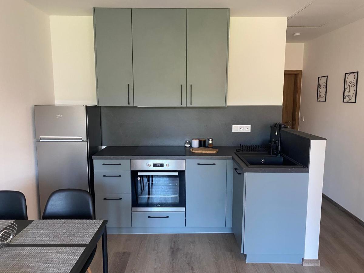 Cerna Ruze- Apartman 5 Plzeň Eksteriør bilde