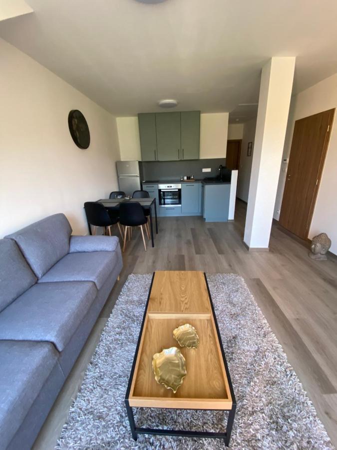 Cerna Ruze- Apartman 5 Plzeň Eksteriør bilde
