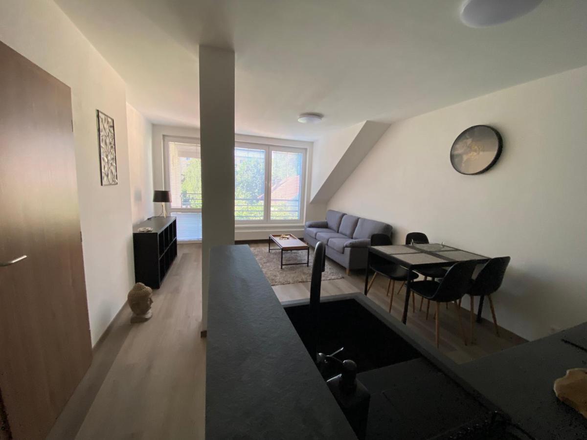 Cerna Ruze- Apartman 5 Plzeň Eksteriør bilde
